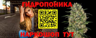 ECSTASY Канаш