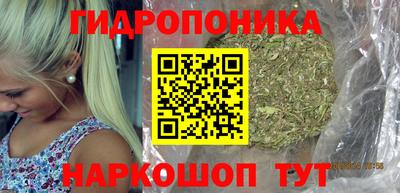 ECSTASY Канаш