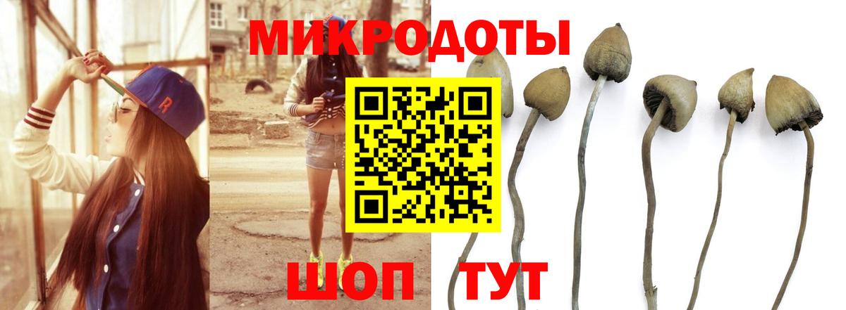 Псилоцибиновые грибы мухоморы  Вход с VPN  Лесной  Галлюциногенные грибы MAGIC MUSHROOMS 
